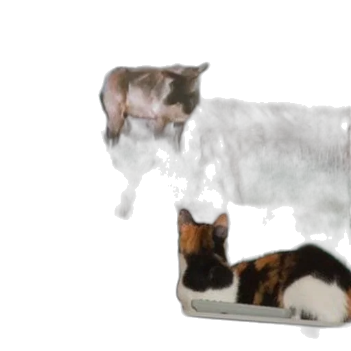 furniture, animal, food, 3d render transparent PNG cut-out