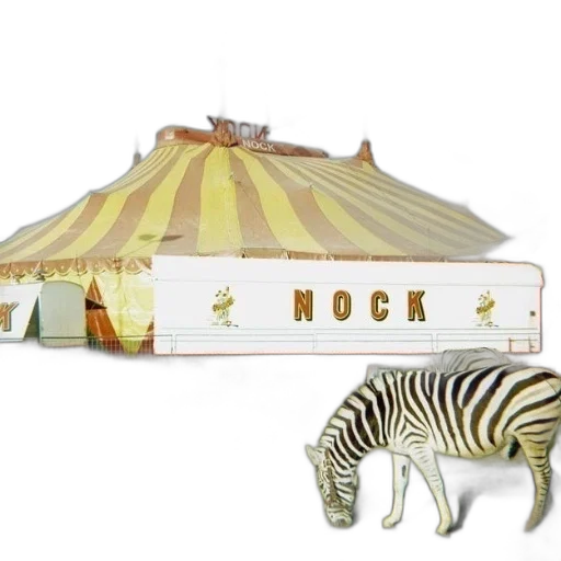 3d render, zebra, grazes, front transparent PNG cut-out