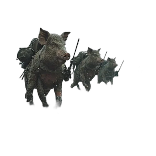 animal, creature, weapon, dragon transparent PNG cut-out