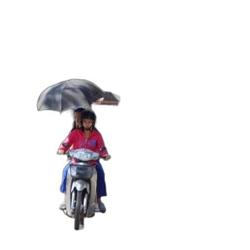 umbrella, jacket, animal, car transparent PNG cut-out