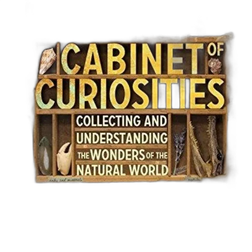 furniture, cover, cabinet, curiosities transparent PNG cut-out
