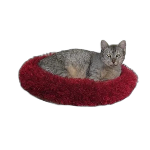 furniture, hat, animal, crown transparent PNG cut-out