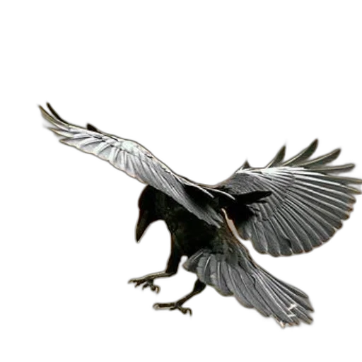 dragon, animal, creature, staff transparent PNG cut-out