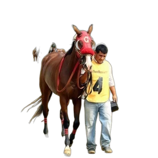 animal, staff, creature, photorealistic transparent PNG cut-out