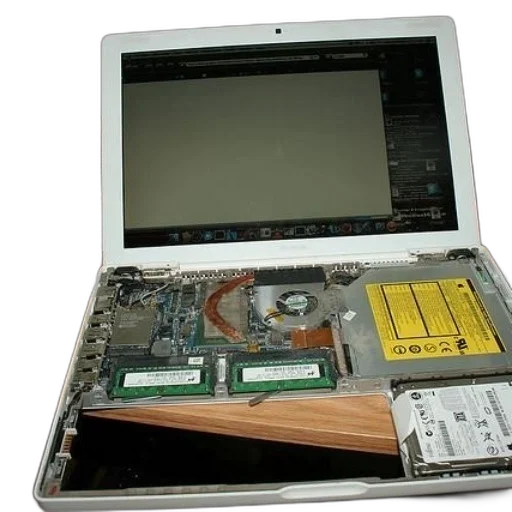 staff, white, laptop, bottom transparent PNG cut-out