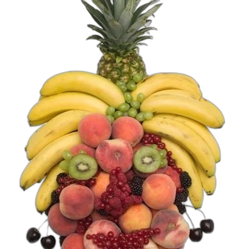 crown, food, hat, tree transparent PNG cut-out