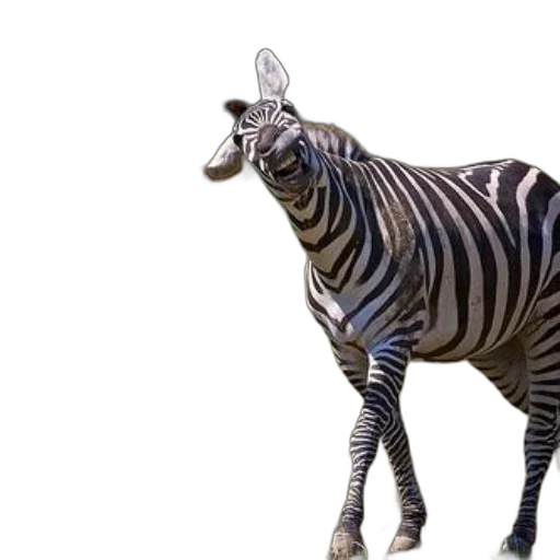 animal, creature, staff, weapon transparent PNG cut-out