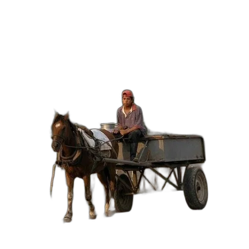 car, animal, hat, furniture transparent PNG cut-out