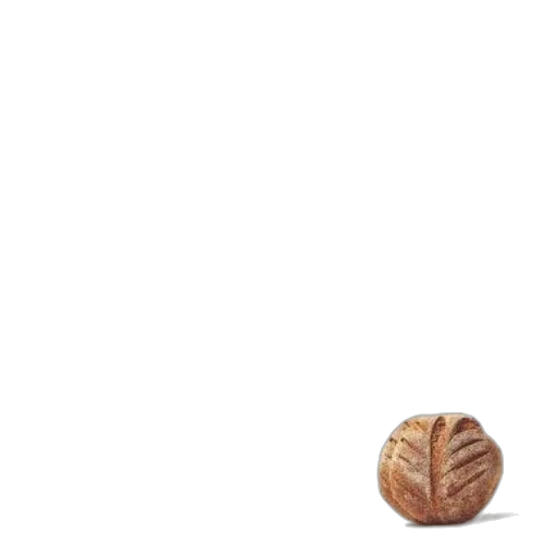 food, hair, hat, animal transparent PNG cut-out