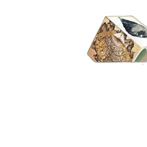 animal, hat, mask, shoes transparent PNG cut-out