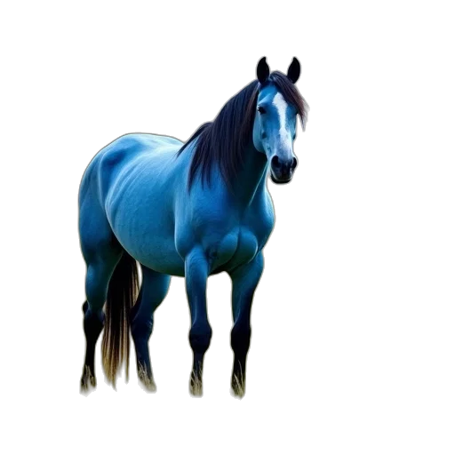 animal, creature, crown, hat transparent PNG cut-out