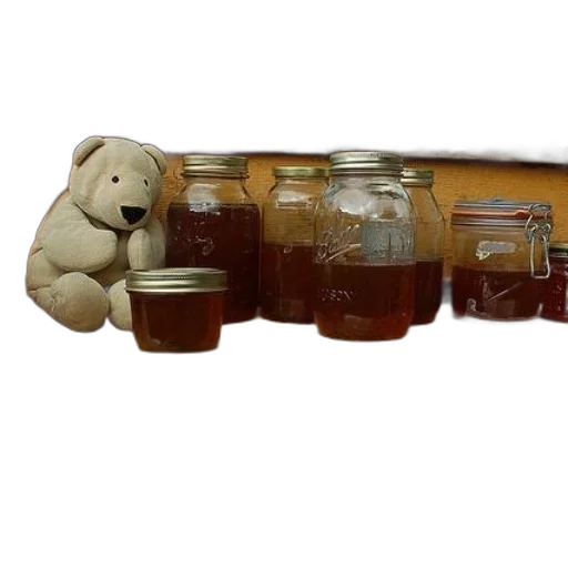 bottle, furniture, forest, teddy transparent PNG cut-out