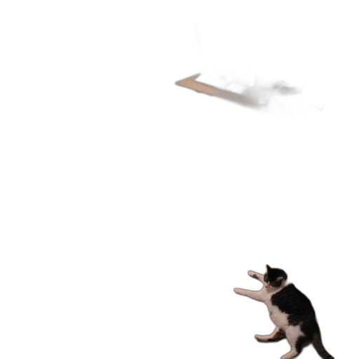 staff, animal, umbrella, creature transparent PNG cut-out