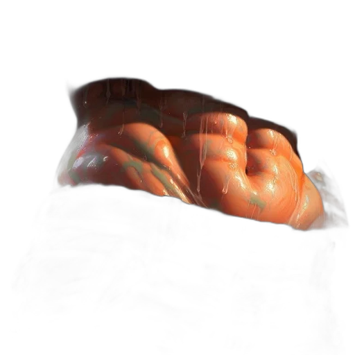 food, shoes, creature, dragon transparent PNG cut-out