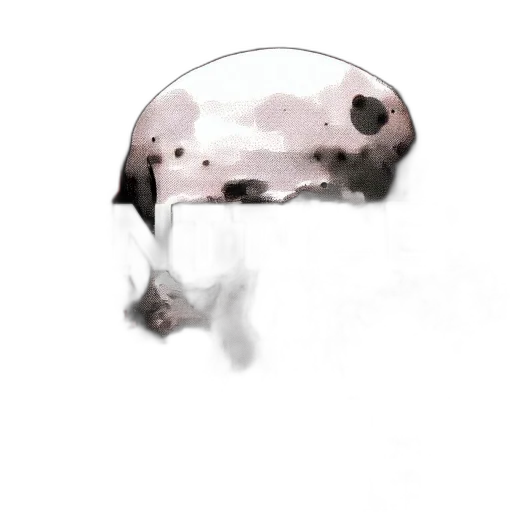 mask, umbrella, face, hat transparent PNG cut-out