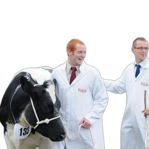 staff, two, men, white transparent PNG cut-out