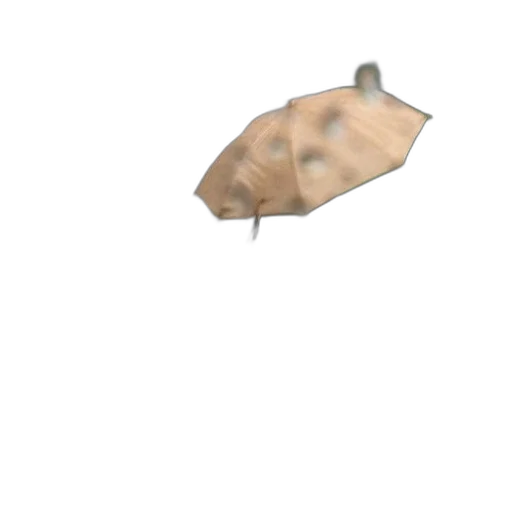 umbrella, hat, mask, face transparent PNG cut-out