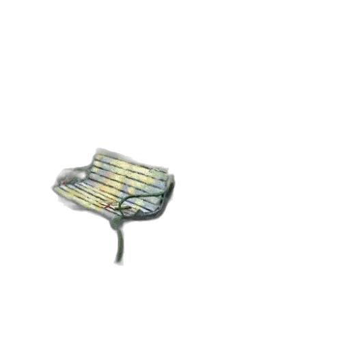 furniture, umbrella, hat, jewelry transparent PNG cut-out