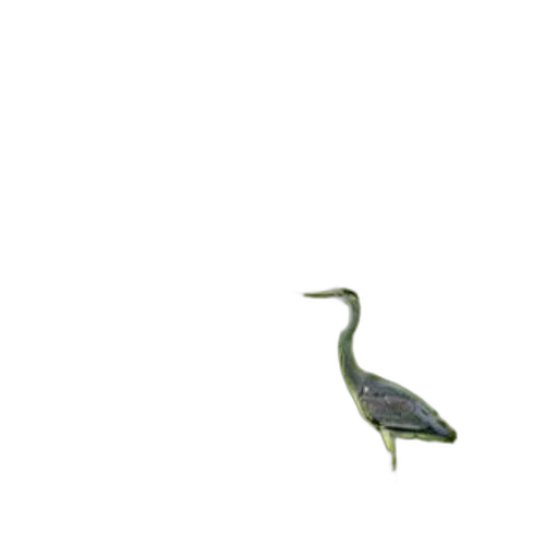animal, staff, creature, dragon transparent PNG cut-out