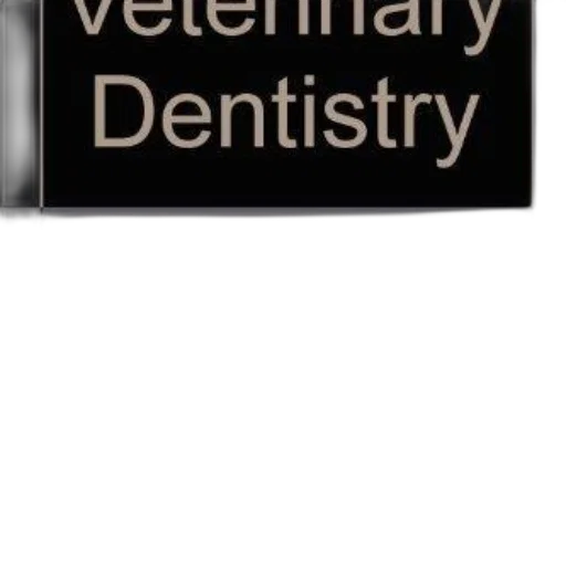 jewelry, staff, cover, veterinary transparent PNG cut-out