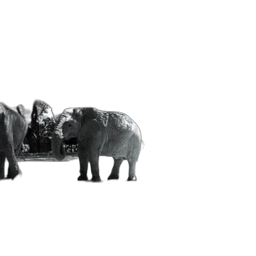 animal, concept art, photorealistic, 3d render transparent PNG cut-out