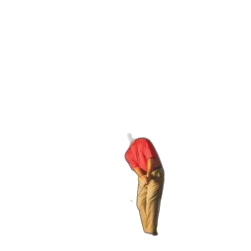 hat, flower, staff, umbrella transparent PNG cut-out
