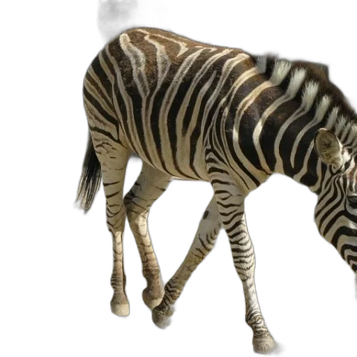 animal, creature, 3d render, concept art transparent PNG cut-out