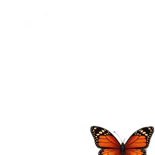 animal, creature, crown, flower transparent PNG cut-out