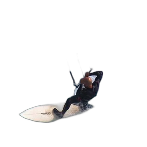 shoes, furniture, animal, hat transparent PNG cut-out
