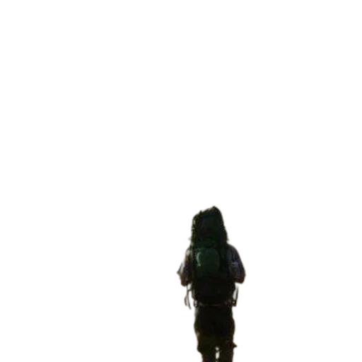dress, staff, creature, hair transparent PNG cut-out