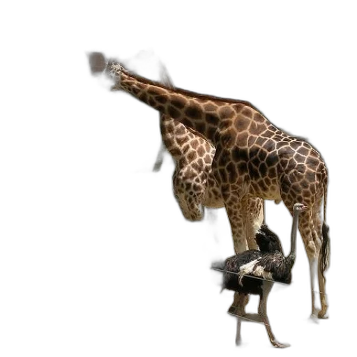 animal, creature, weapon, staff transparent PNG cut-out