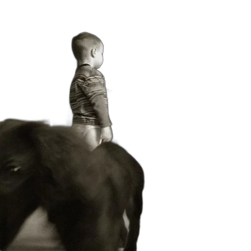 animal, creature, photorealistic, concept art transparent PNG cut-out