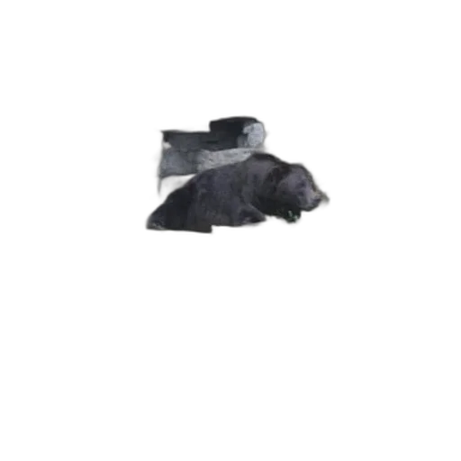 shoes, umbrella, hat, weapon transparent PNG cut-out