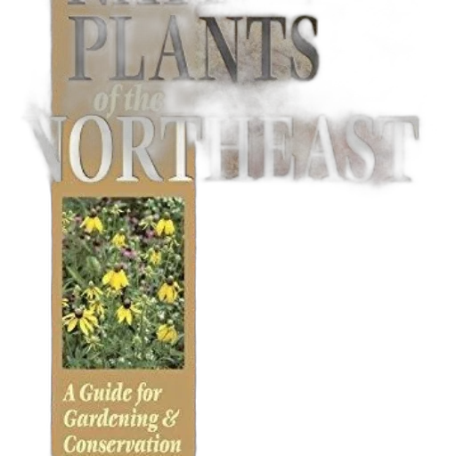 native, plants, northeast, guide transparent PNG cut-out