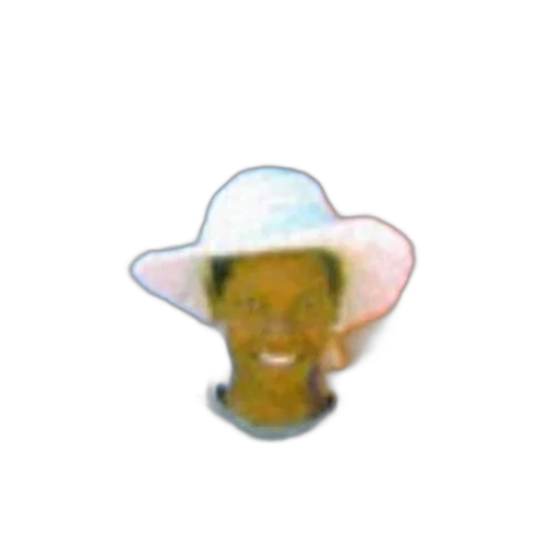 hat, face, mask, staff transparent PNG cut-out
