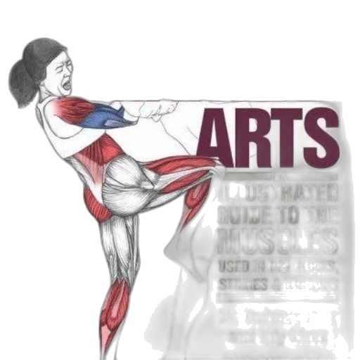 concept art, comic book art, anatomy, martial transparent PNG cut-out