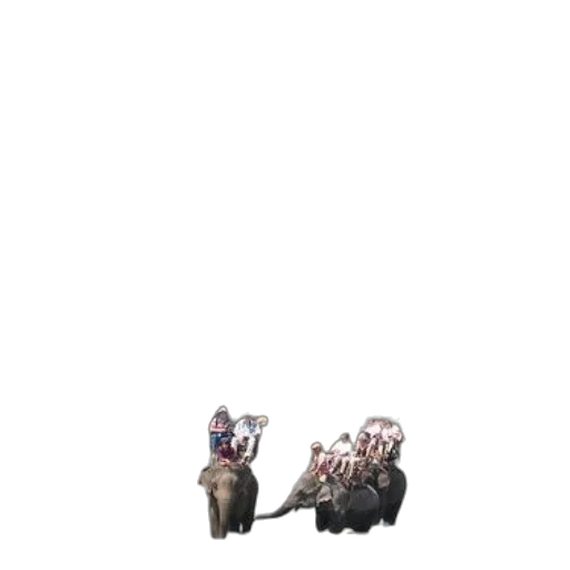 animal, staff, creature, weapon transparent PNG cut-out
