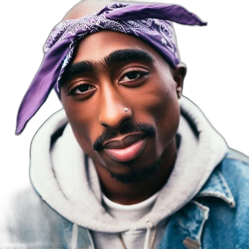hat, face, animal, mask transparent PNG cut-out