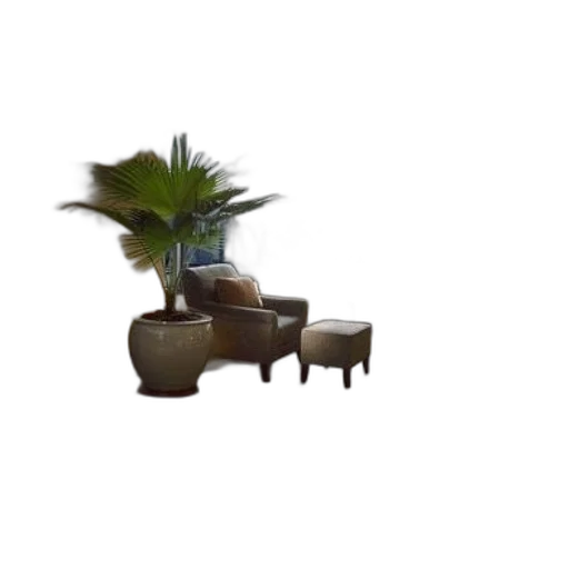 furniture, shoes, hat, creature transparent PNG cut-out