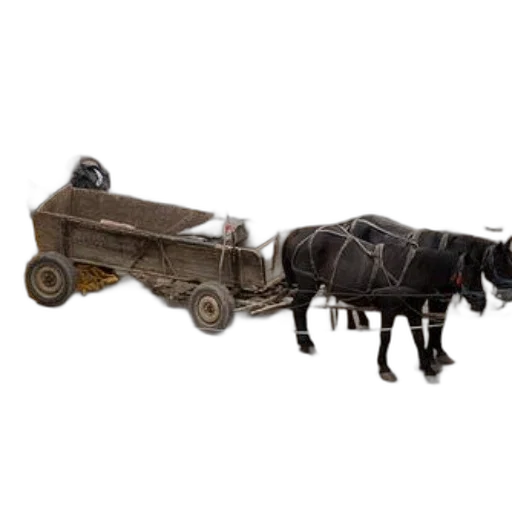 car, robot, animal, weapon transparent PNG cut-out