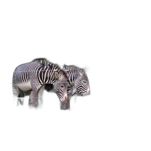 animal, creature, weapon, hair transparent PNG cut-out