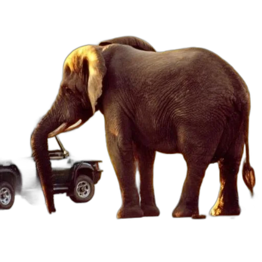 car, animal, concept art, photorealistic transparent PNG cut-out