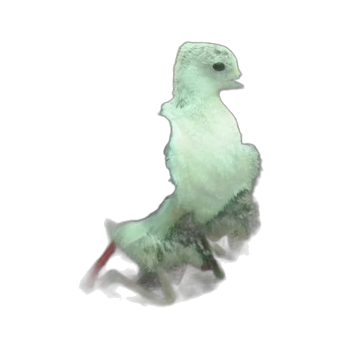 dragon, animal, creature, staff transparent PNG cut-out