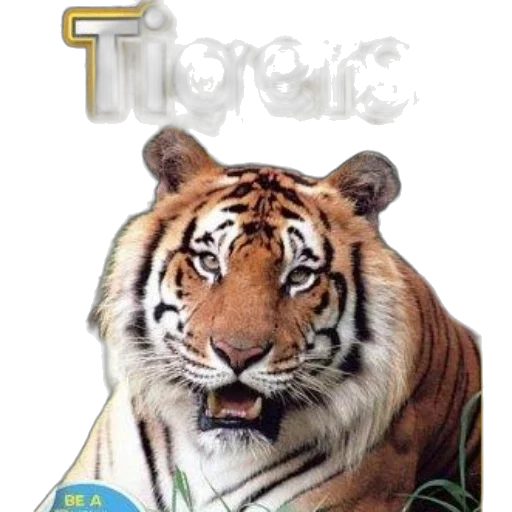 animal, creature, photorealistic, concept art transparent PNG cut-out