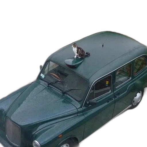 car, 3d render, photorealistic, cat transparent PNG cut-out