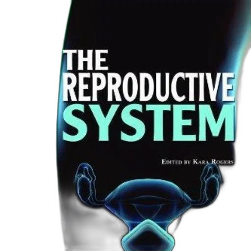 cover, reproductive, system, human transparent PNG cut-out