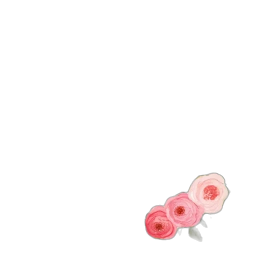 flower, weapon, shoes, jewelry transparent PNG cut-out
