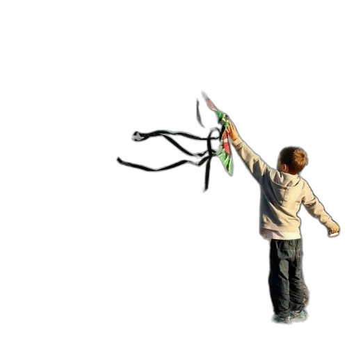 weapon, umbrella, staff, flower transparent PNG cut-out