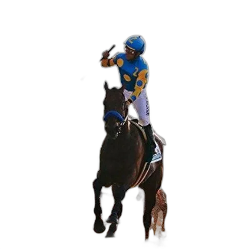 animal, staff, most, glorious transparent PNG cut-out