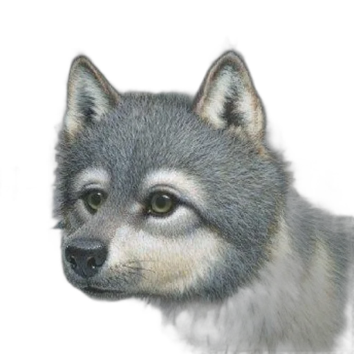 animal, face, creature, staff transparent PNG cut-out